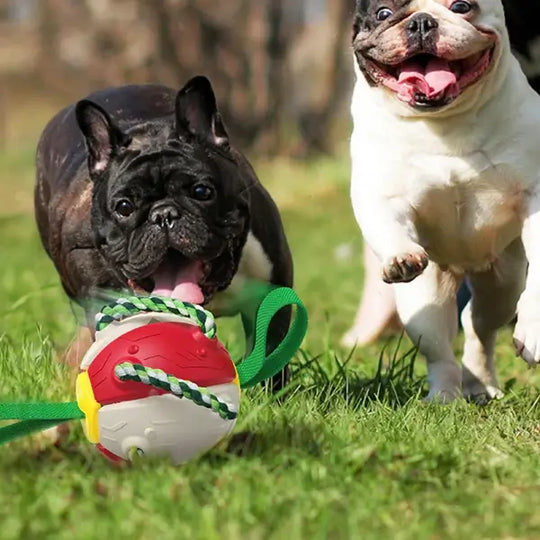 Interaktiivinen frisbee pallo koiran lelu