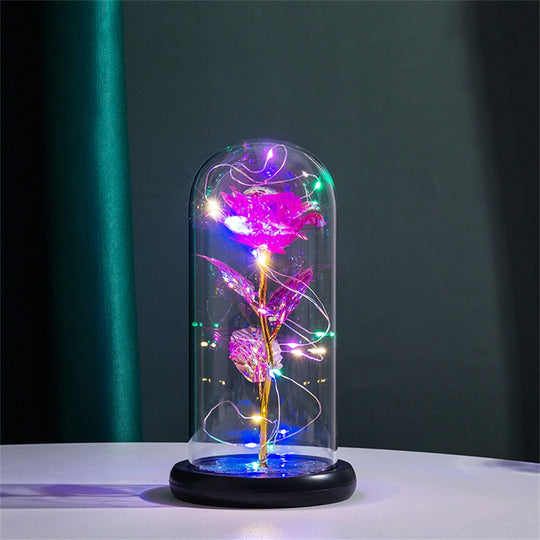 Perpetual Rose Dome Light