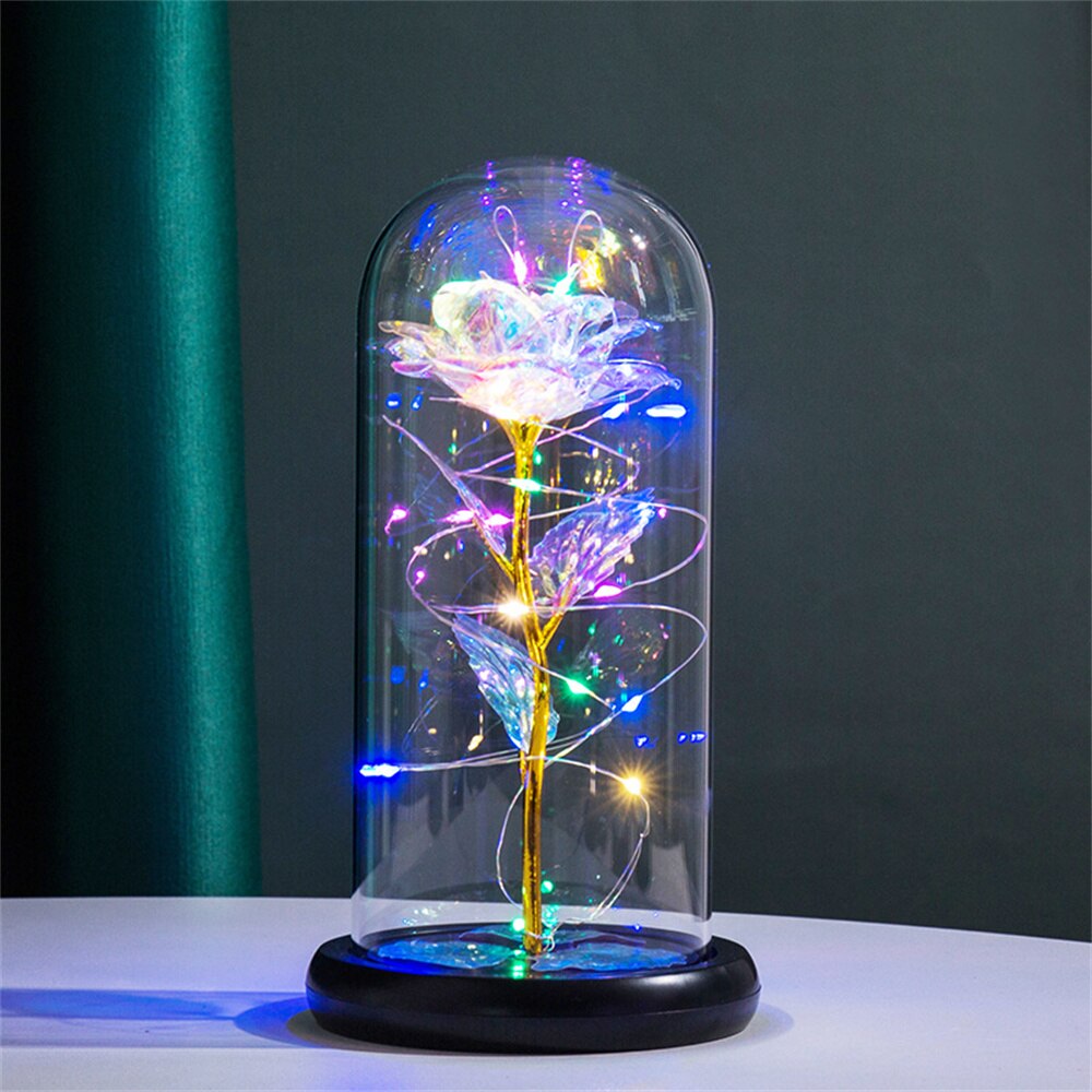 Perpetual Rose Dome Light