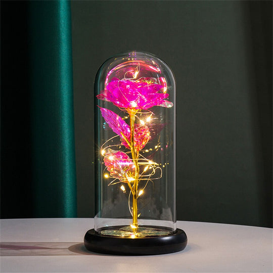 Perpetual Rose Dome Light