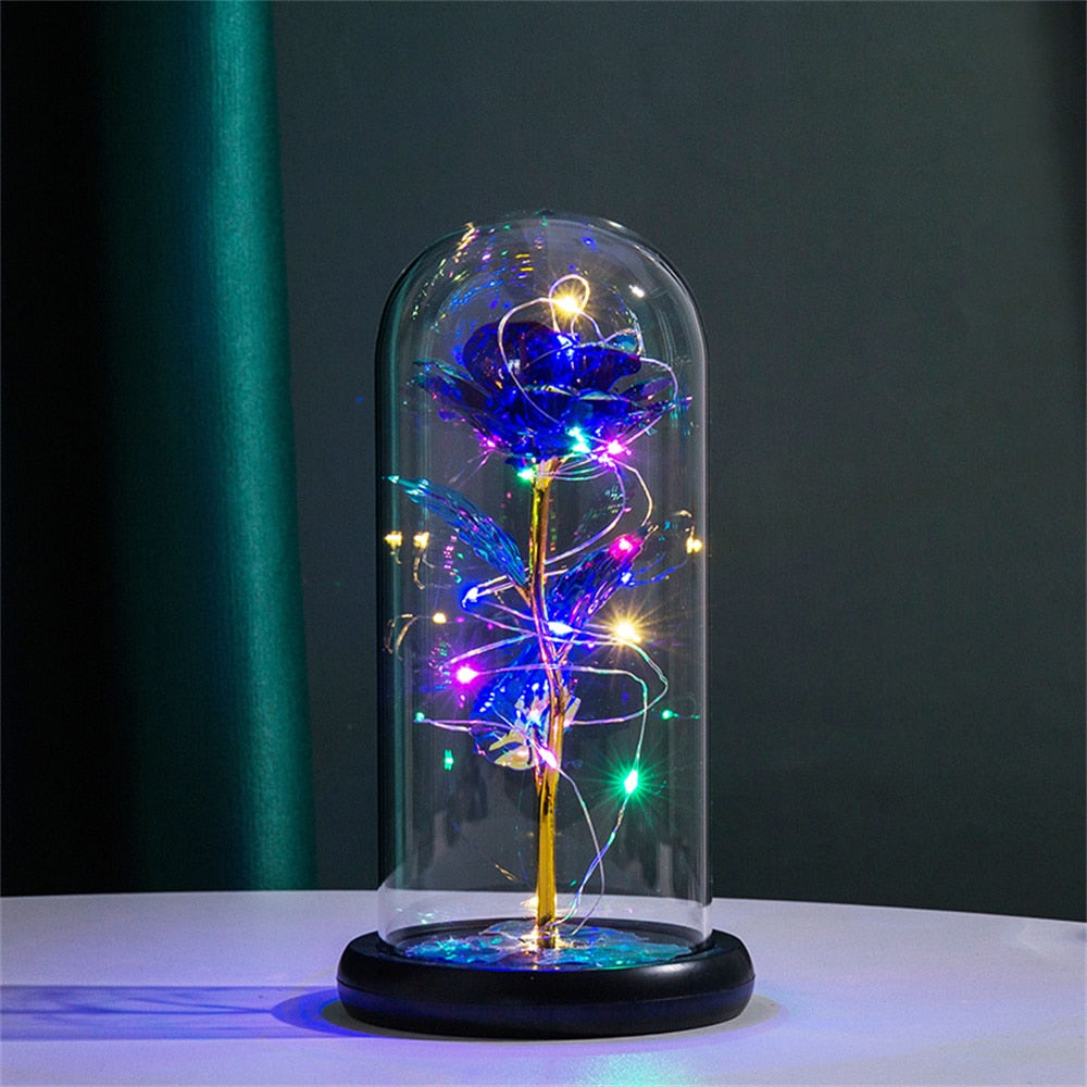 Perpetual Rose Dome Light