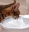Älykäs anturi kissan vesilähde