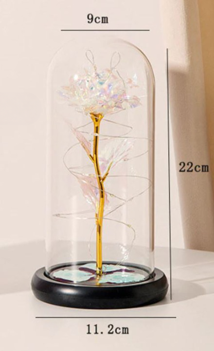 Perpetual Rose Dome Light