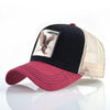 Freedom Baseball-lippis